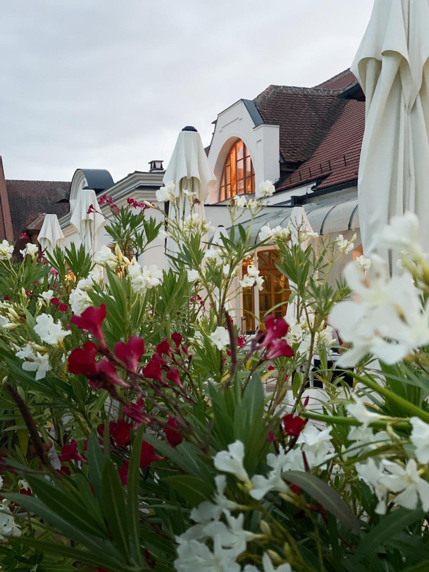 Schloss Thalheim Sankt Poelten Eksteriør billede